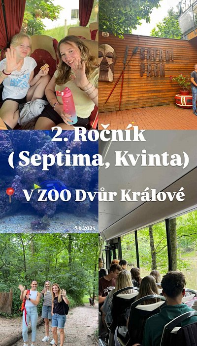 ZOO Safari - 2R
