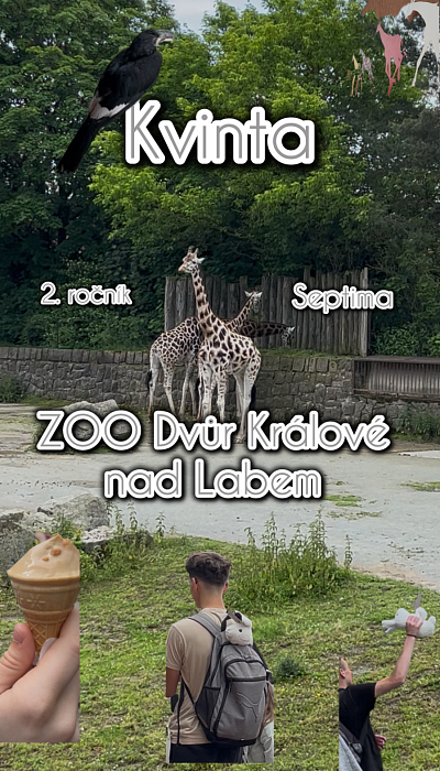 ZOO Safari - Kv